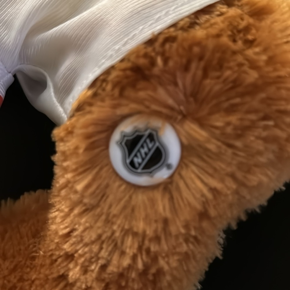 NHL Teddy Bear - Picture 4 of 5